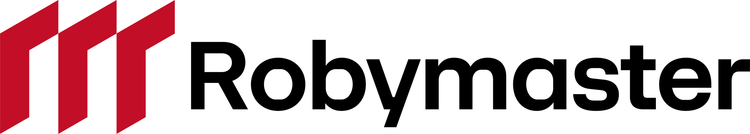 Logo Robymaster
